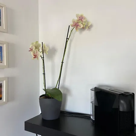 Vivikas Rooftop Flat Διαμέρισμα
